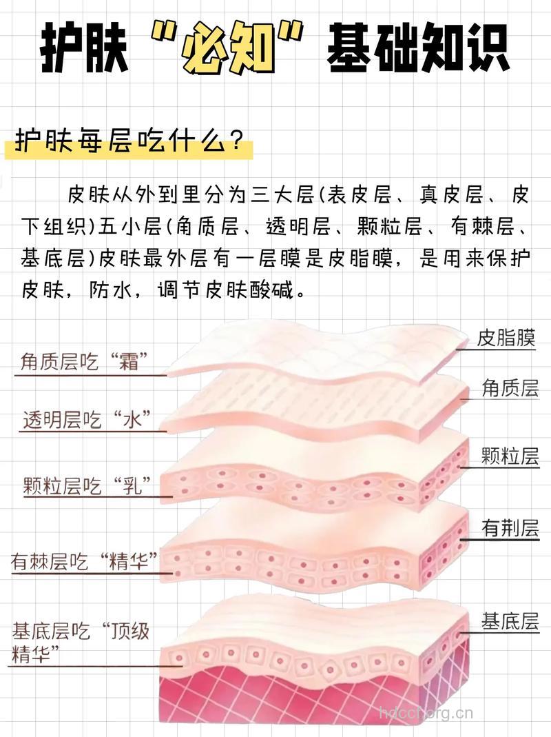 美肤专家教你 如何吃出好肌肤