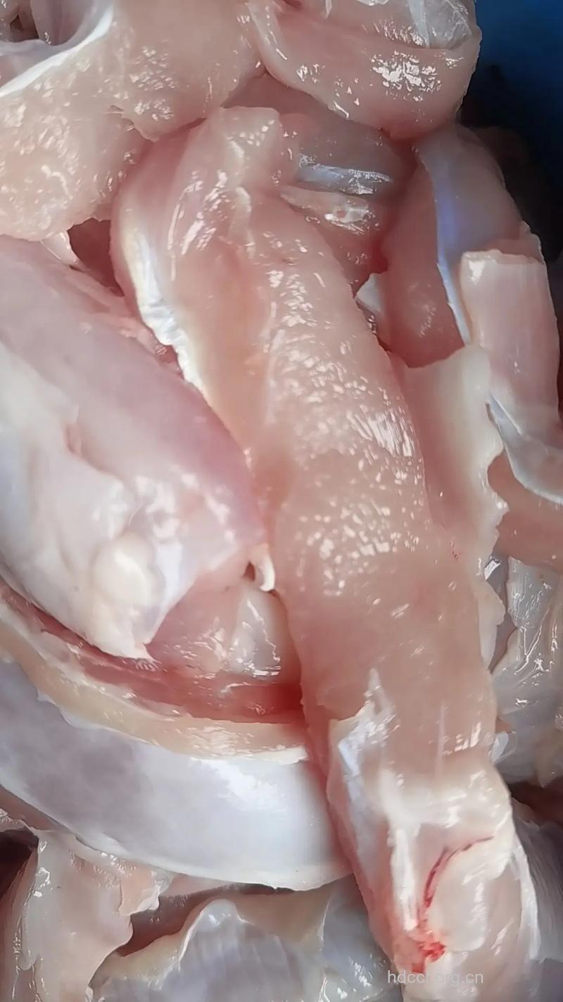 为什么兔肉被称为美容肉