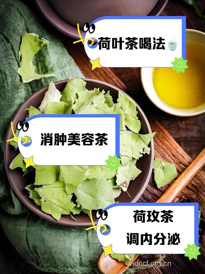 如何自制荷叶茶远离肥胖