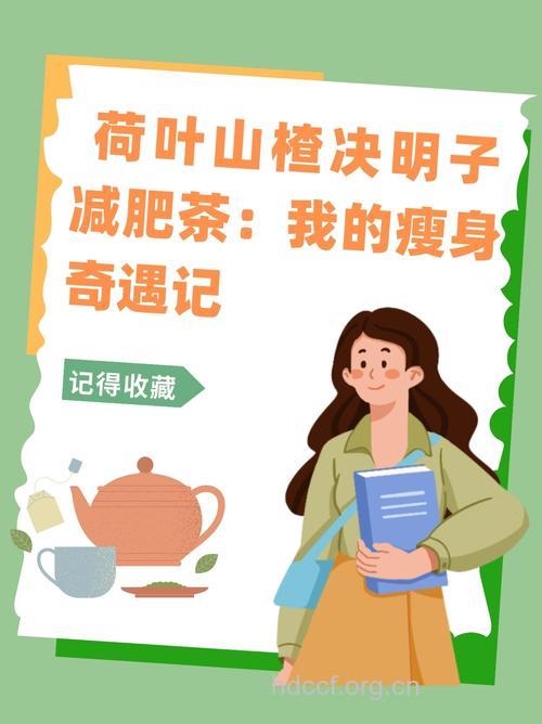 决明子减肥茶 减肥立杆见影