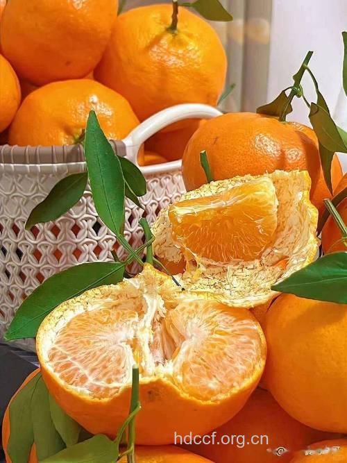 吃橙色的水果可以明目