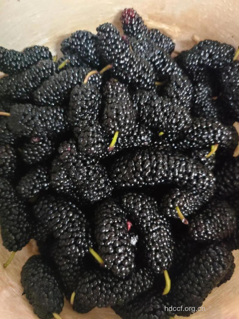 吃黑色的食物皮肤会变黑吗