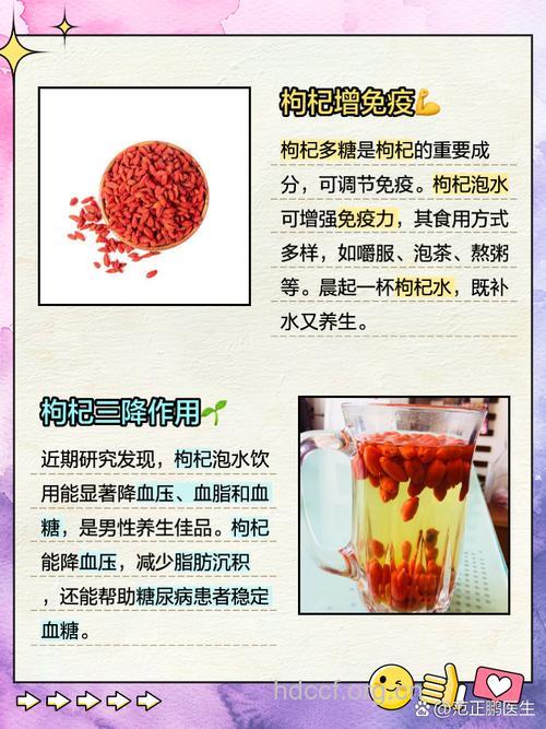 枸杞子能明目吗