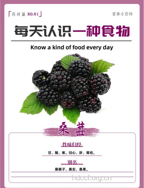 吃什么可以明目：桑椹子