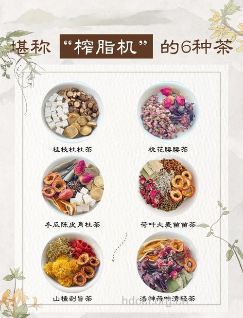评点市面上最受欢迎的五种减肥茶
