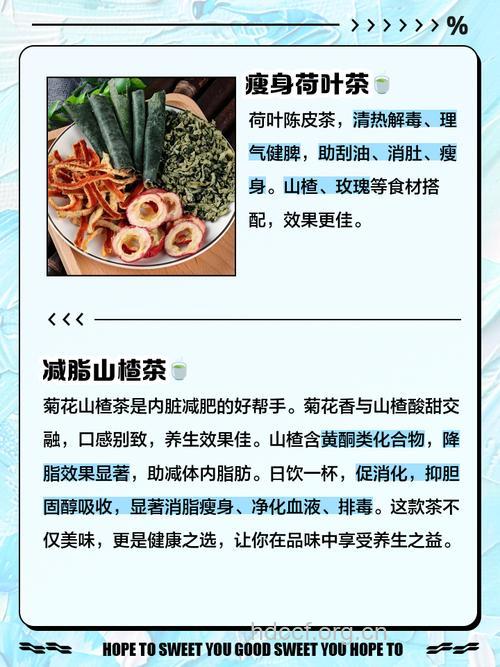 哪些茶胖人必须要喝?