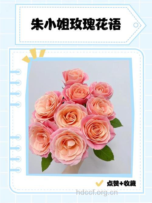 给你的皮肤也种点花花草草吧