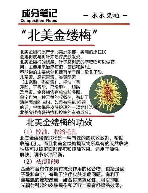 金缕梅的美容护肤功效