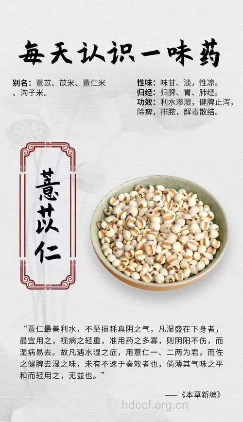 薏仁可以美容吗