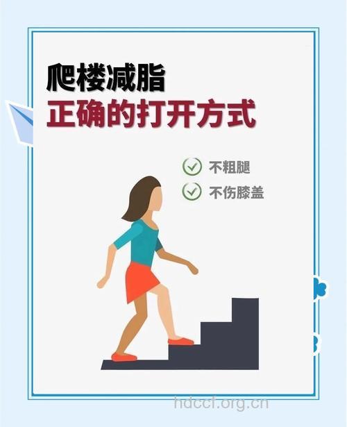爬楼梯可以瘦腿吗?