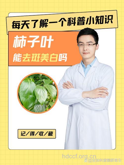 小柿子叶可以美白祛斑吗