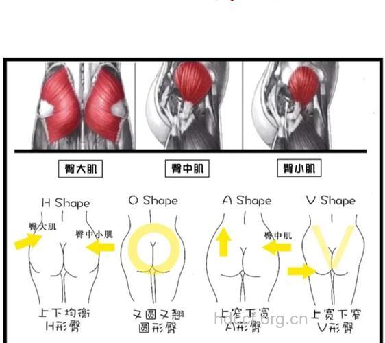 怎么美臀 从臀部形状了解女人性格特征