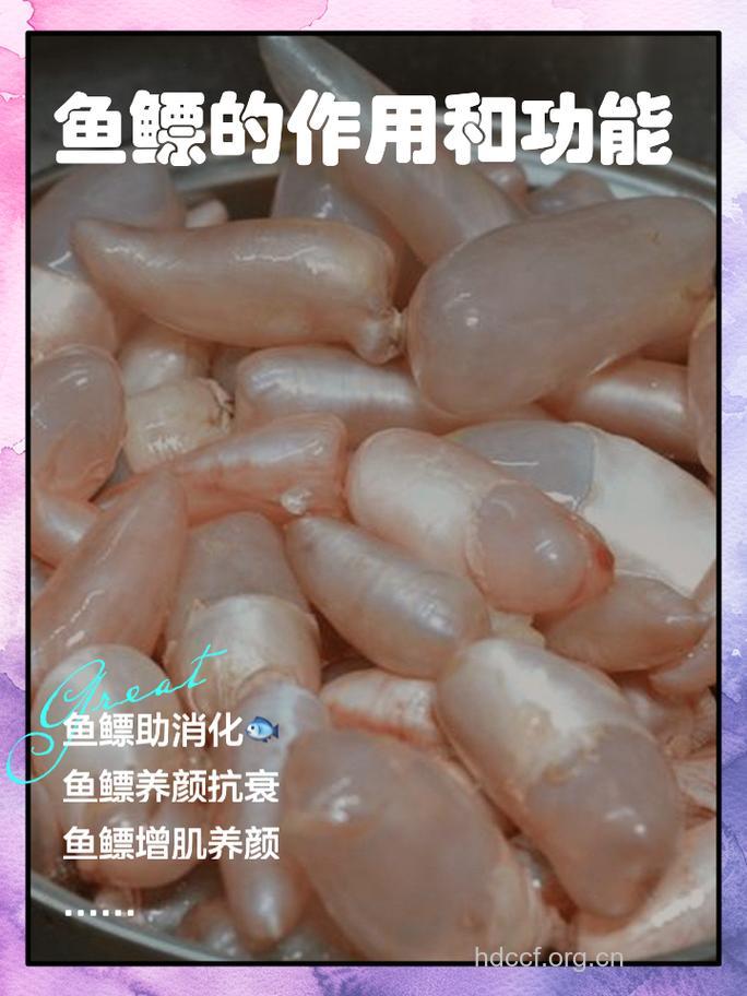 鱼泡的美容功效 富含胶质