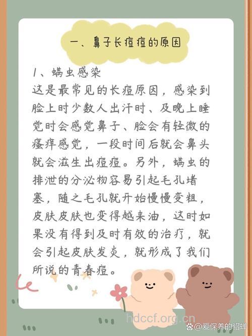 秋季护肤:如何预防鼻头长痘痘?