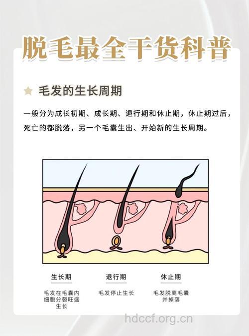 美容生物钟 上午适宜除斑脱毛
