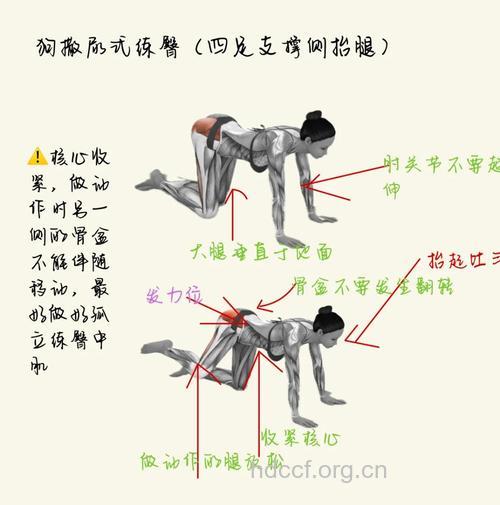 三个步骤让臀部翘起来