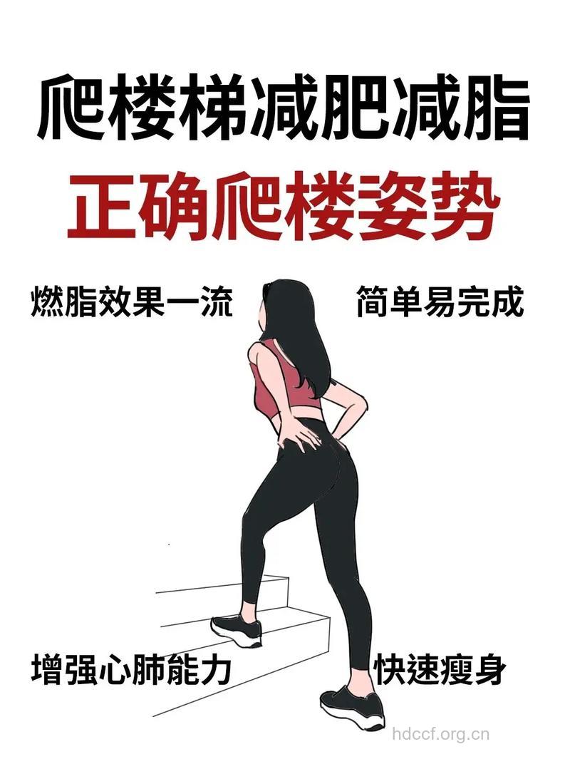 爬楼梯能减肥吗 爬楼梯减肥的正确方法