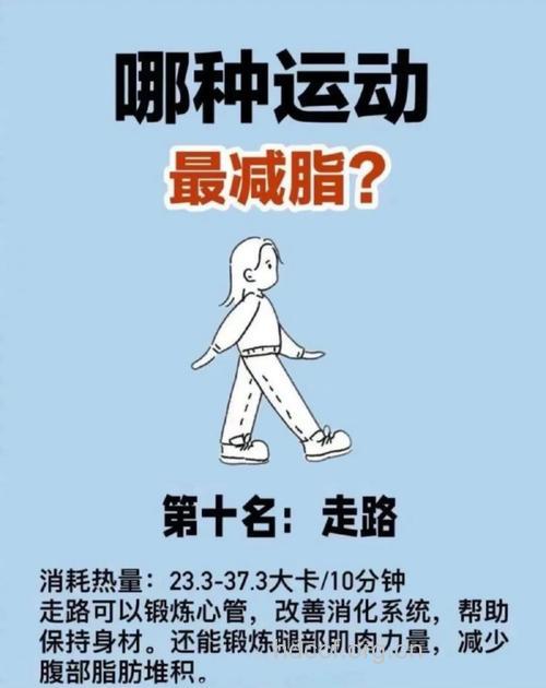 这些运动胖子最好别做 伤身又没效果
