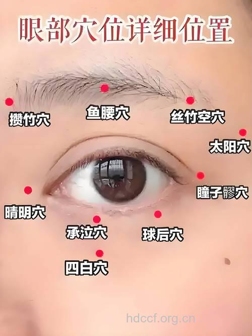 识别眼周五大穴位