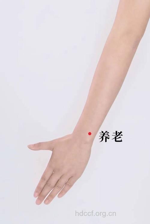 预防老年痴呆 常按5个穴位
