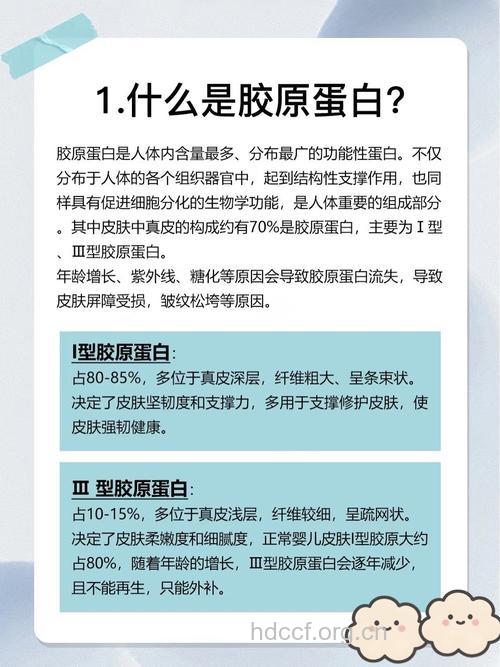 胶原蛋白可以延缓衰老吗