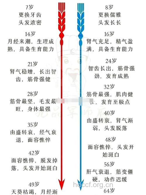 男人如何抗衰老 男女大不同