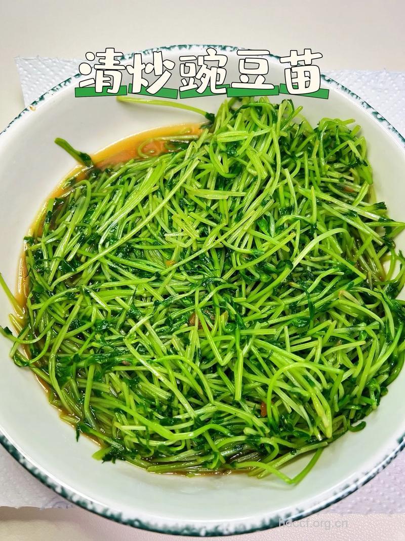 豆苗菜可消肿控油防晒