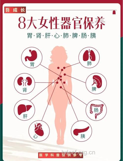 完美女人全身保养手册