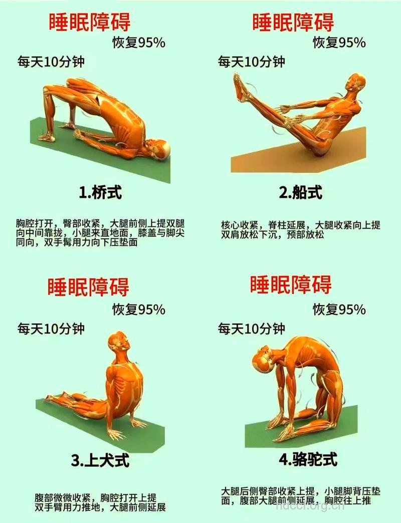 老人做什么运动有助睡眠 试试这两种运动