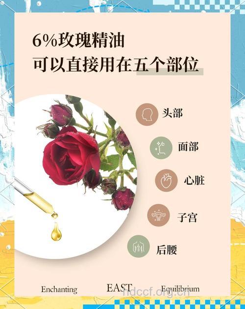 玫瑰香可以延缓女性衰老