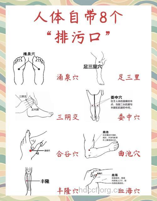 秋冬实用穴位按摩排毒