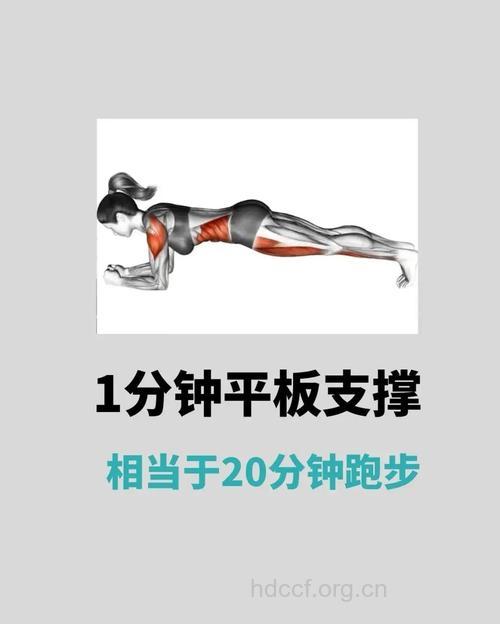 练平板支撑并非越久越好 平板支撑要点