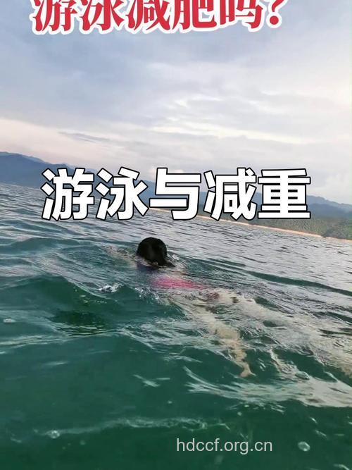 体重过大肥胖者夏季减肥首选游泳