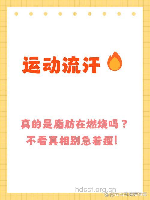 出汗就代表在燃烧脂肪吗 运动强度才是关键