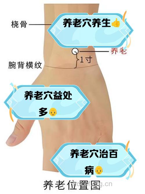 摸摸5个部位老人会更健康