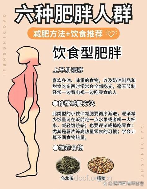 白领一族为什么胖子多 哪些方法可以有效减肥