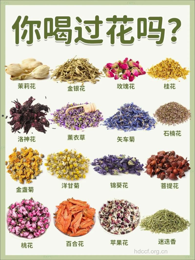 春季抗敏感 精选4款花草茶