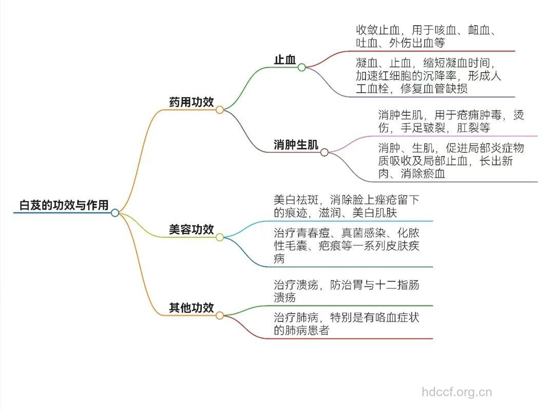 白芨的美容功效与用法