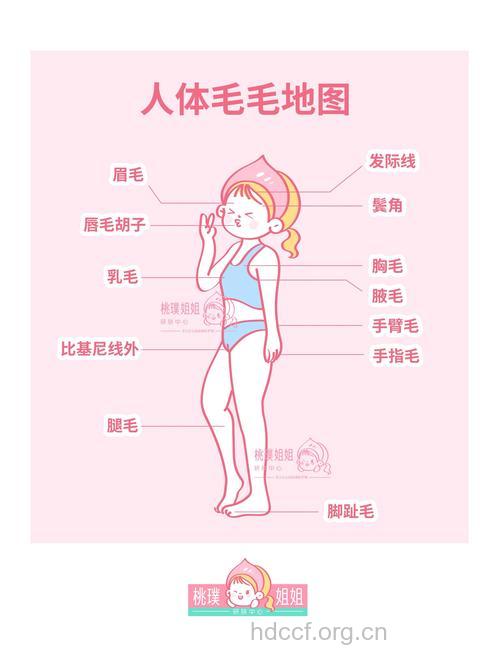 6大脱毛法和适用部位