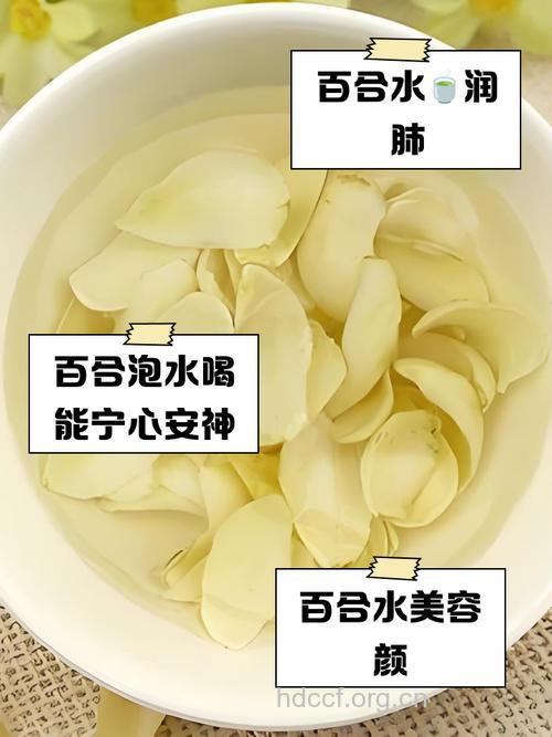 百合花泡水美容养颜气色好