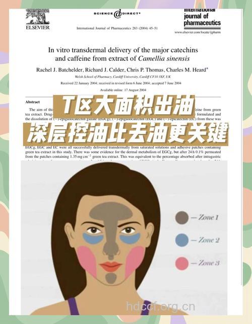 T字区如何控油?