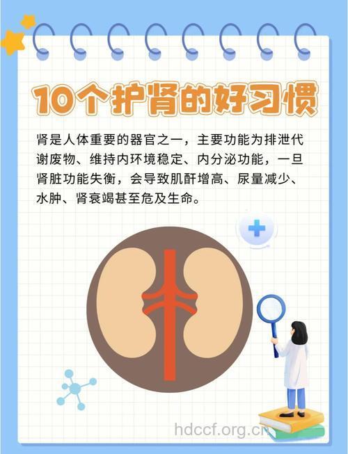 老年人如何保护自己的肾脏