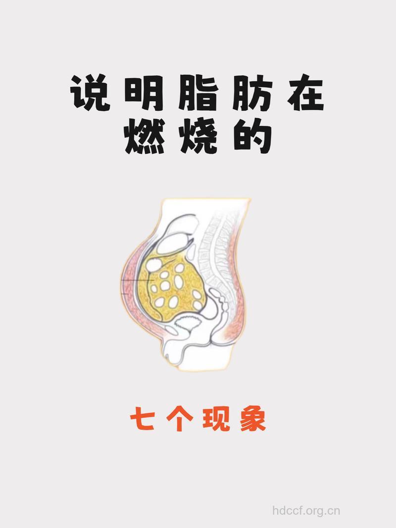 如何才能真正的燃烧脂肪