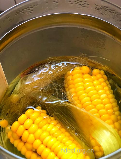 吃玉米抗衰老 煮越长效果越好