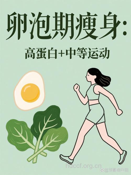 卵泡期 女性瘦身的黄金时期