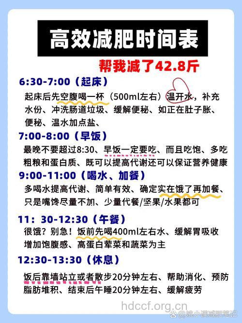 推荐:让你轻松减肥的瘦身时刻表