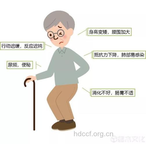 老年人的三大生理特点