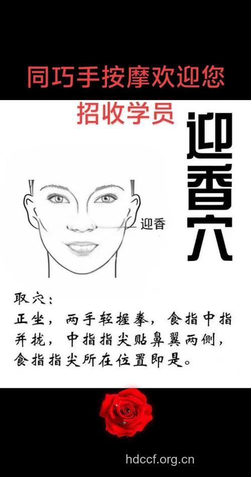治疗老人流鼻涕 按摩迎香穴
