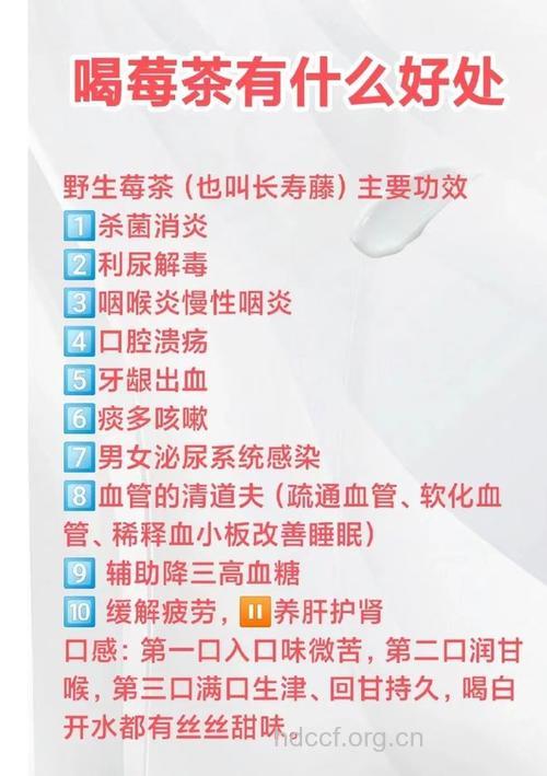 老人一天24小时的长寿养生方法