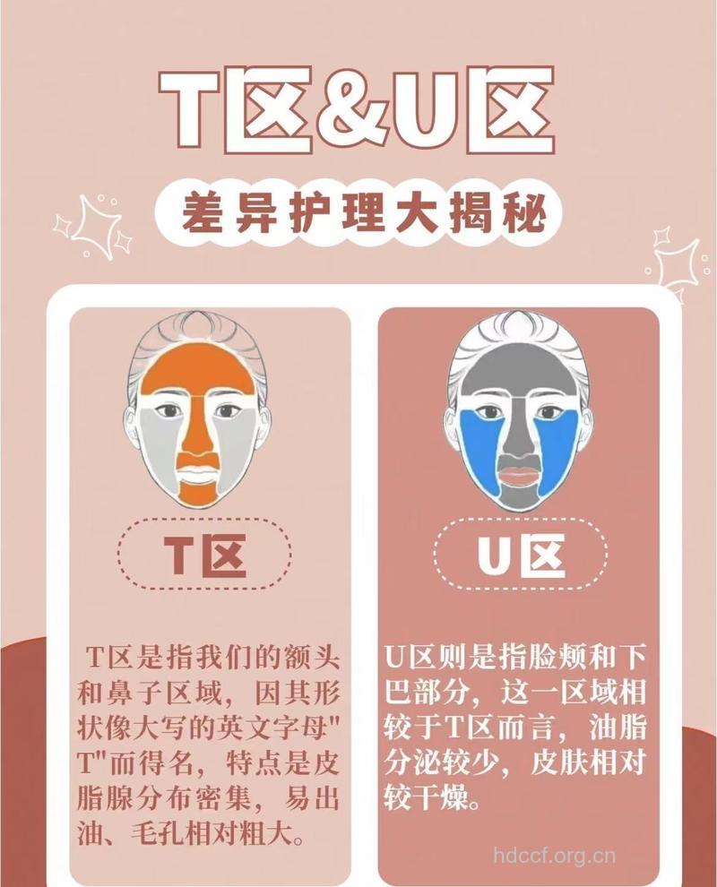 怎么分T区U区给肌肤控油